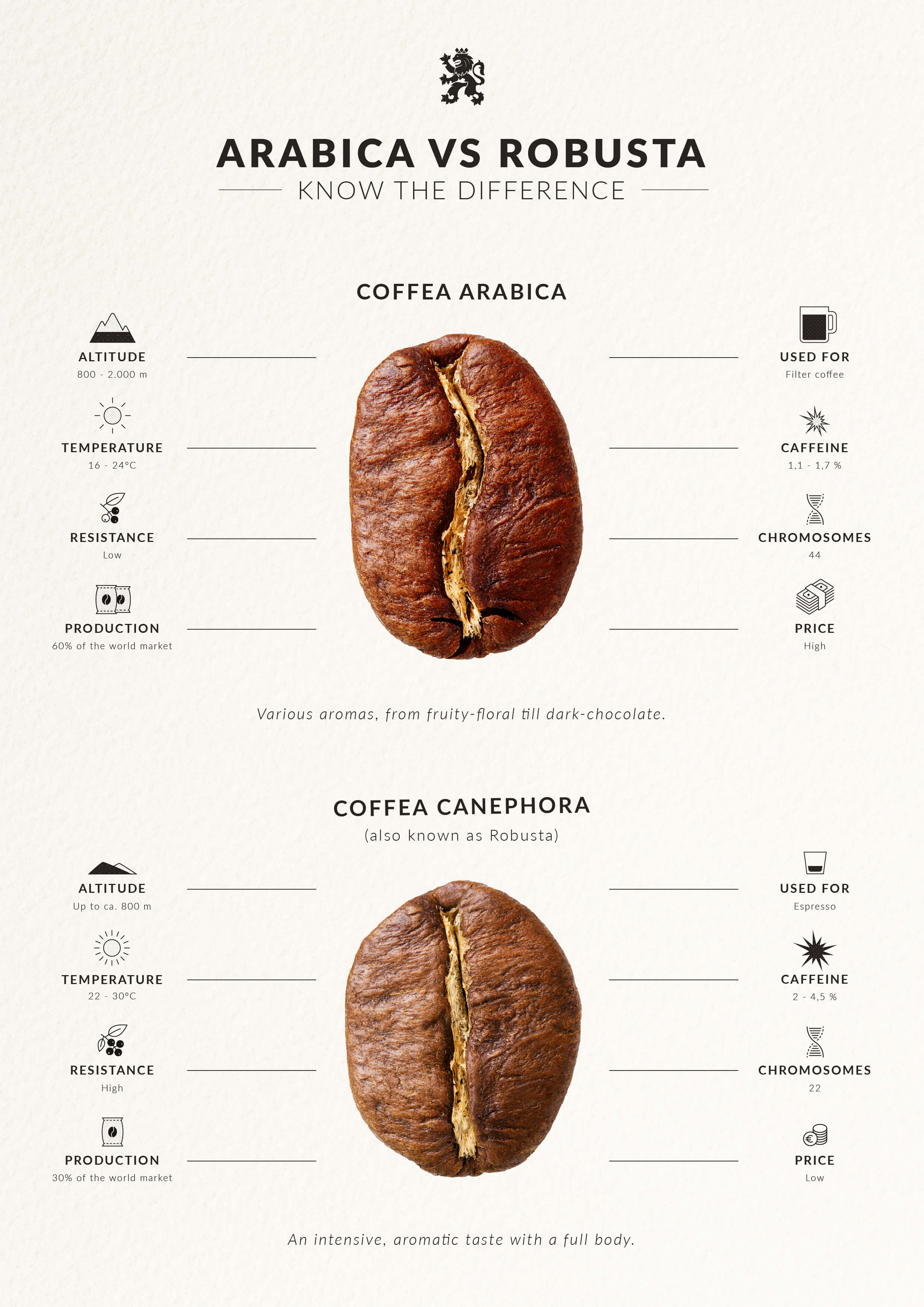 arabica vs robusta coffee beans